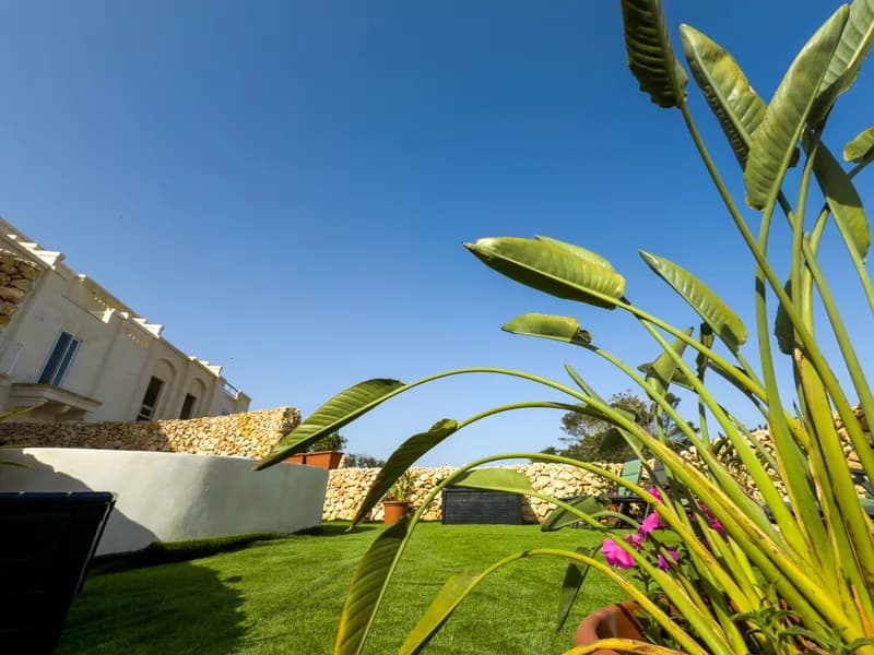 Dar Sansuna, photo 1